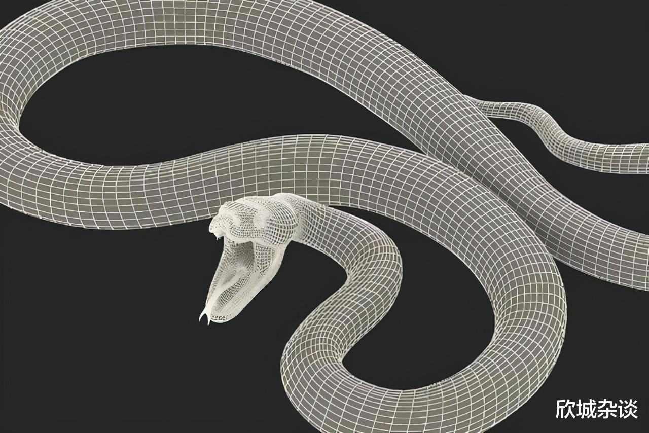 毒液 被称为‘寡妇蛇’的圆斑蝰蛇究竟有多可怕，毒性强还善伪装