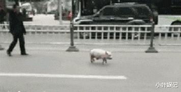 小叶娱记|女朋友把我绿了！当天就赔给了我一个新女朋友，太刺激了