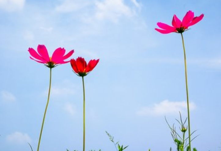 美团|退休后,参加老同学、老同事聚会,很忌讳这5件事