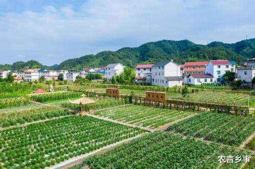 GDP|农村“有宅”就是好！政策证明宅基地有价值，你后悔了吗？说说吧