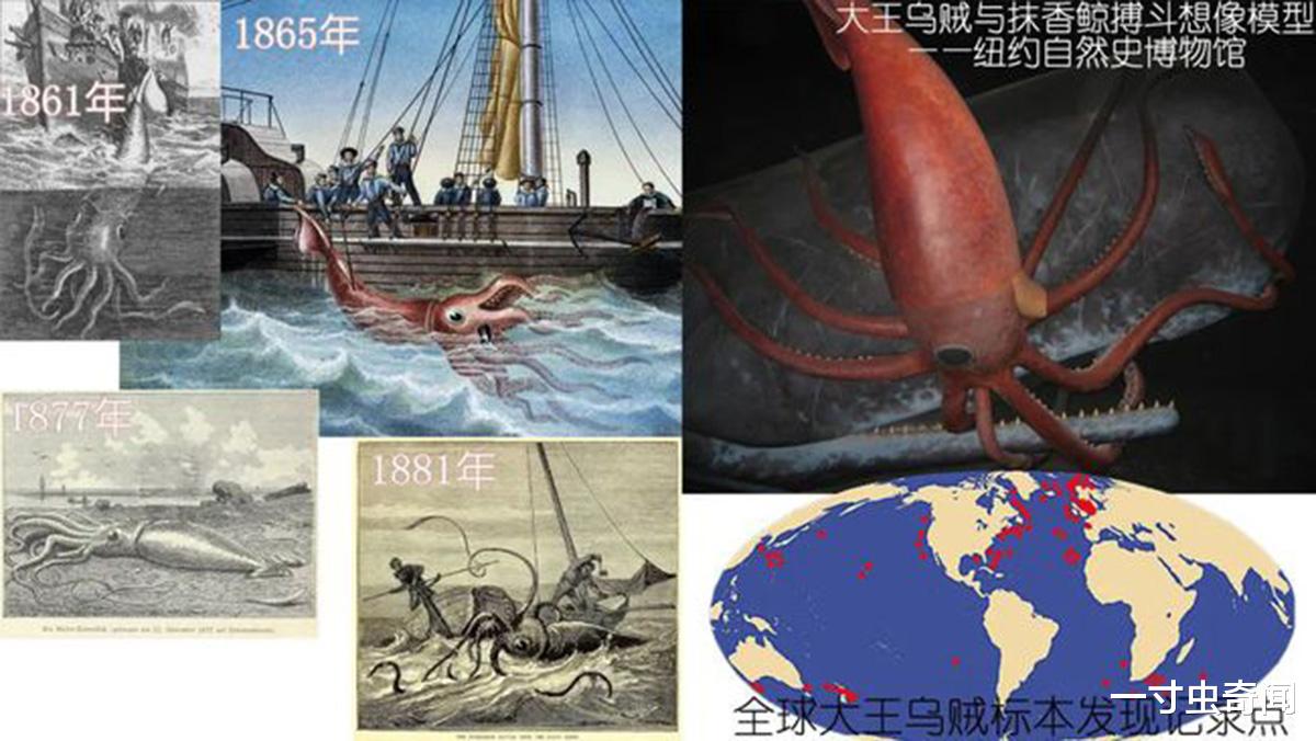 科学家 OceanX科学家在红海853米处，发现巨型神秘生物，体长超人类身高