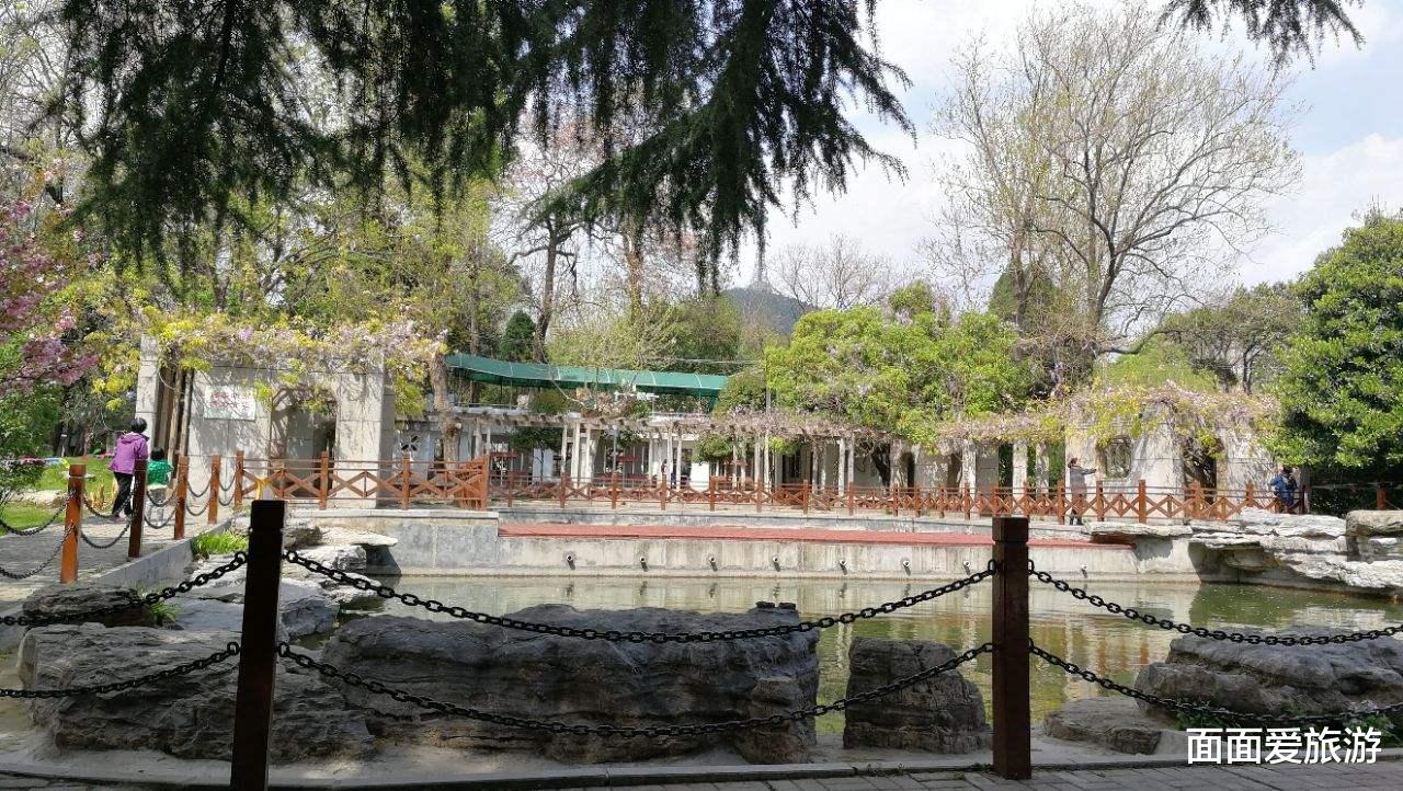淮北|淮北一小众森林公园，依山傍水草木葱郁，内部景观众多游客却少