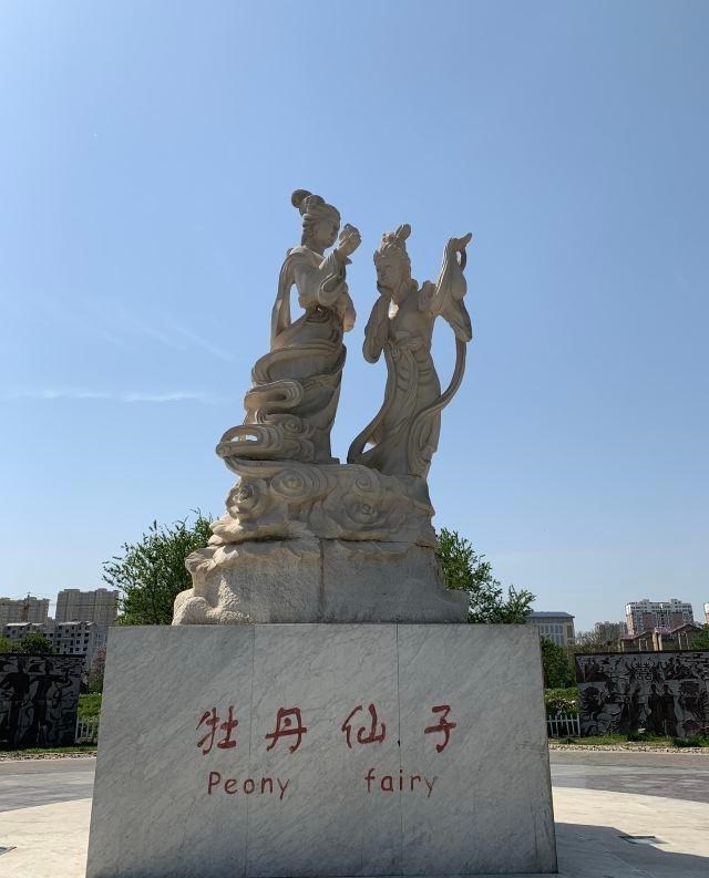 花影任健 牡丹之争，洛阳、菏泽、襄阳，到底谁“甲天下”？