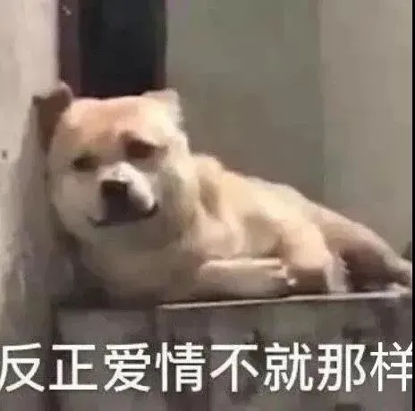 桃小菁说说|南台控股:整形撕x豪门恋一样不落,这对塑料姐妹怎么还是时代的眼泪?