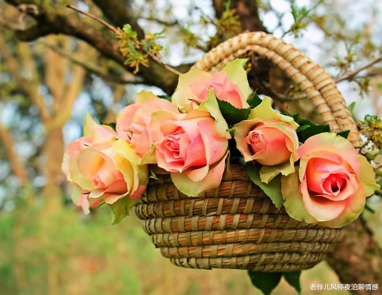 老伴儿风停夜泊聊情感|男女交往:有这3点特征的女人,不值得娶