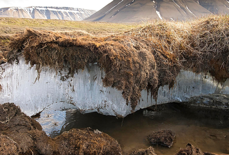 遗骸 北极冻土加速消融，40000万年前遗骸横空出世，人类该清醒了