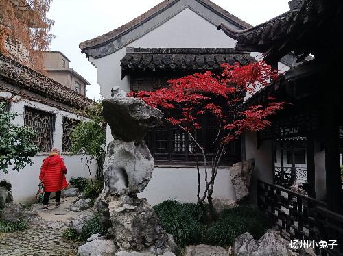 扬州小兔子|我看着、我期待、我祝愿！未来的你更好更美丽