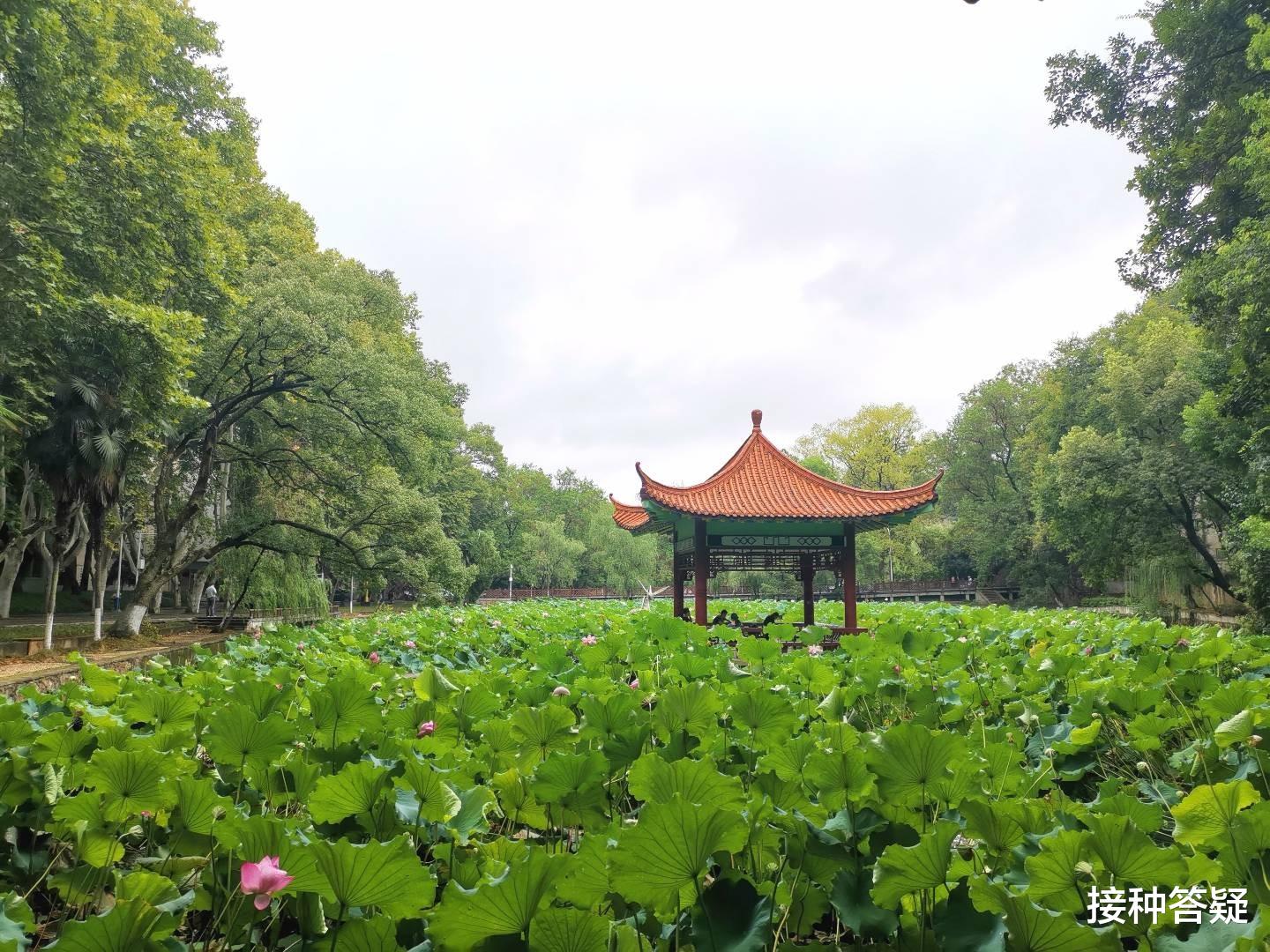 接种答疑|这样的回复是否严谨？