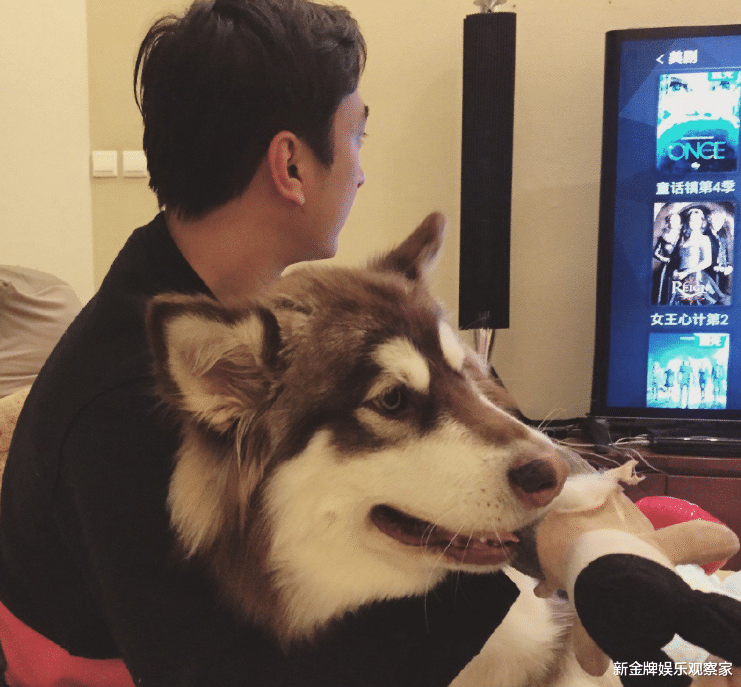 王思聪|王思聪怒怼上万亿市值大公司，对方出面道歉，公众人物说话管用？