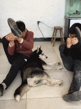 女孩 “据说南方人开始洗澡是这样子的...简直太真实了！”