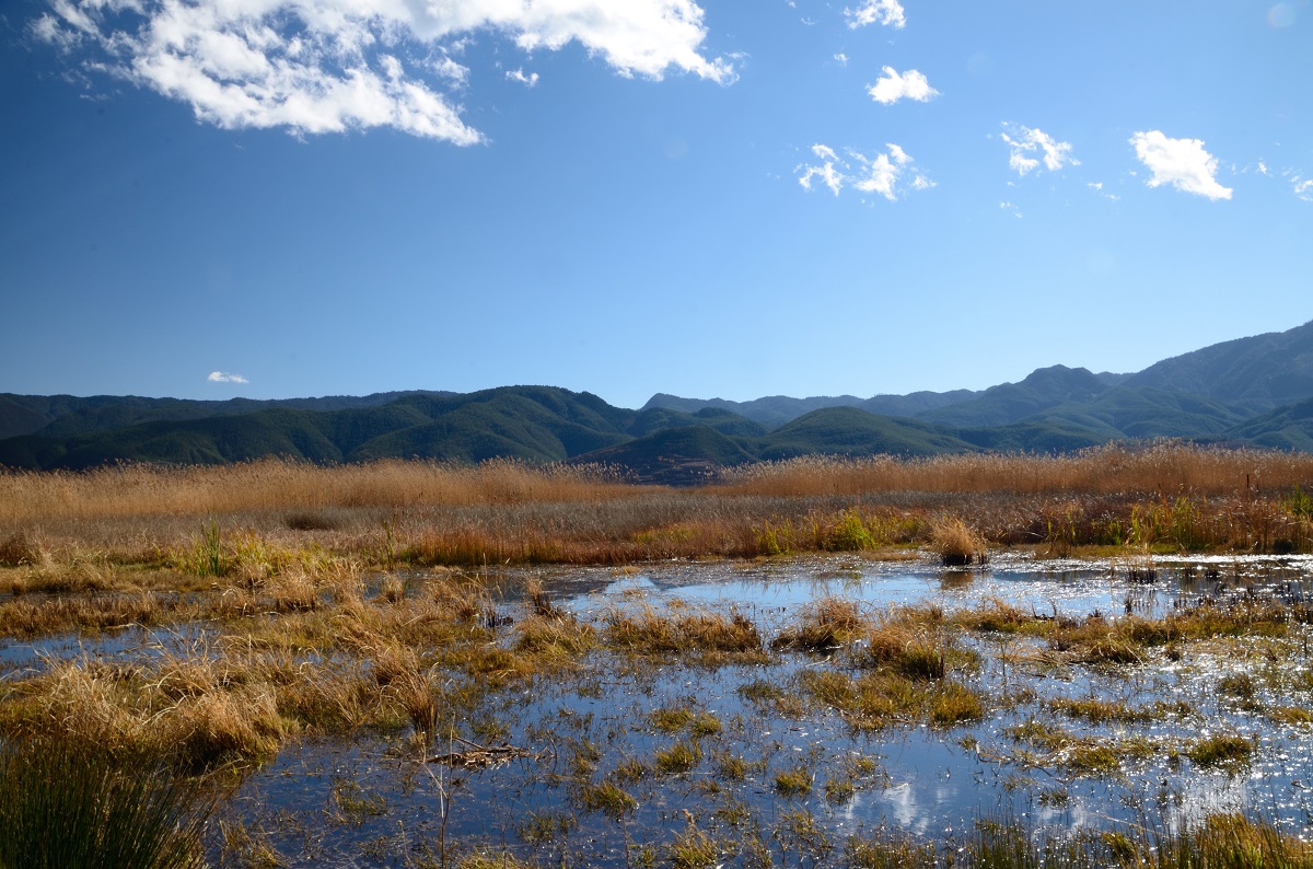|高压线架穿鱼塘上空，要求禁止垂钓，是否可以要求赔偿