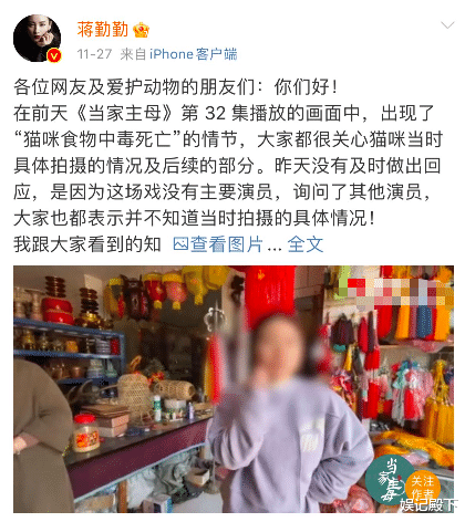 蒋勤勤|蒋勤勤和孙俪这是杠上了？两人都上热搜，谁更有大局观一目了然！