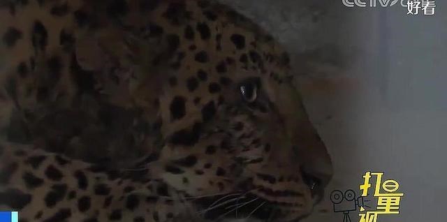 食分的麻麻 浙江发生一起事件，位置在杭州，当地已投入千人搜救