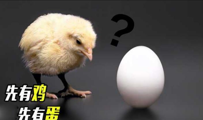 到底是先有鸡还是先有蛋？为什么？