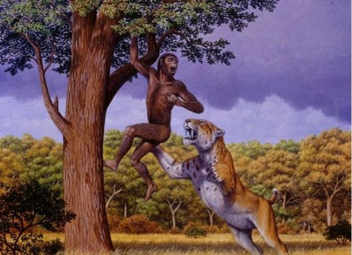 南方古猿 人类真处于食物链顶端？专家发现一种动物，曾差点将人类祖先吃光