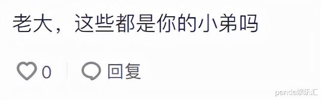 于月仙|“乌鸦”强人锁哈，58岁张耀扬被100只狗包围，场面太壮观！