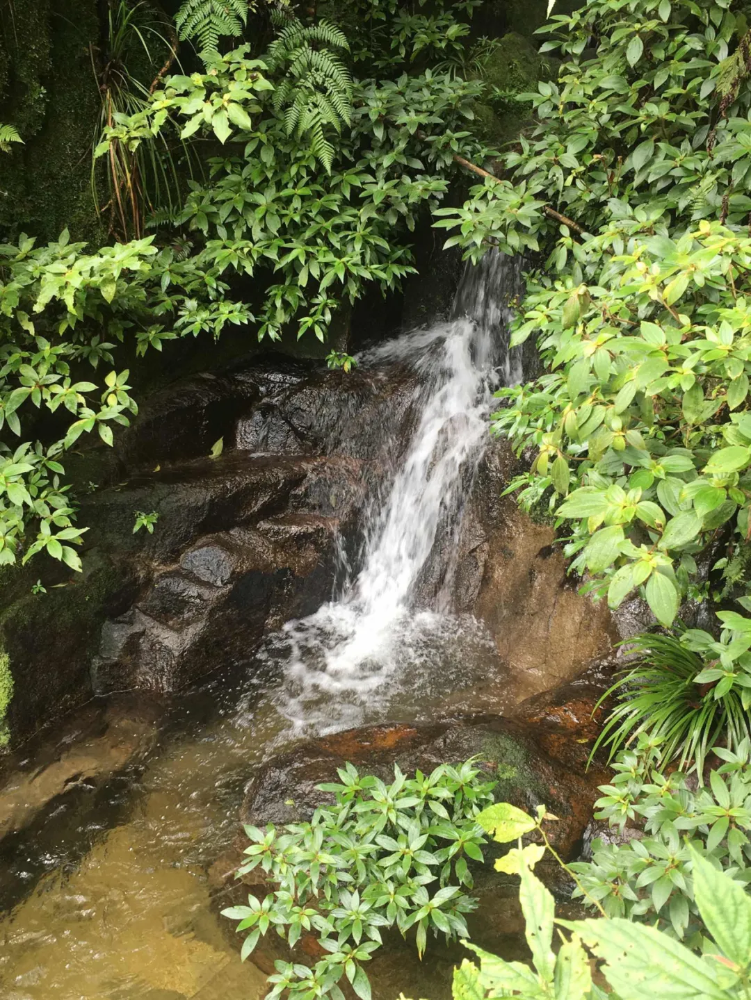 红海|媲美巴厘岛，北纬18°绝美海岸线，海南这个宝藏地比三亚人少景美