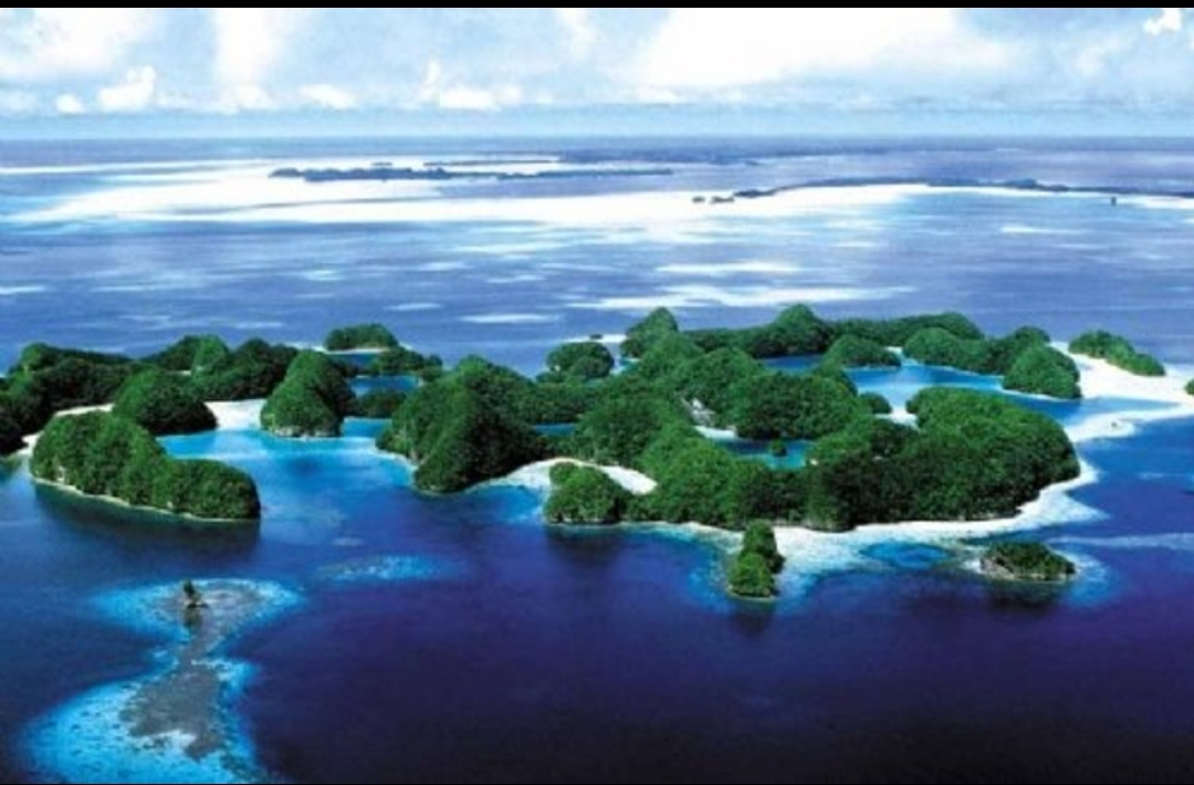 科学家 太平洋海底诡异的墓葬群