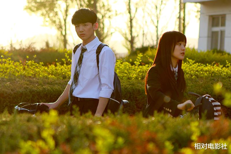 白敬亭|白敬亭评分最高的5部剧集：《城池营垒》排名第3，第一曾被严重低估