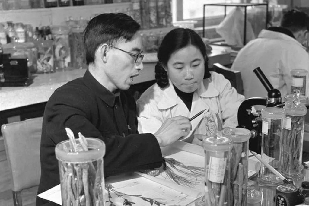 红团团医生LYNN 周迅热搜被夸爆,但封神的却是她。