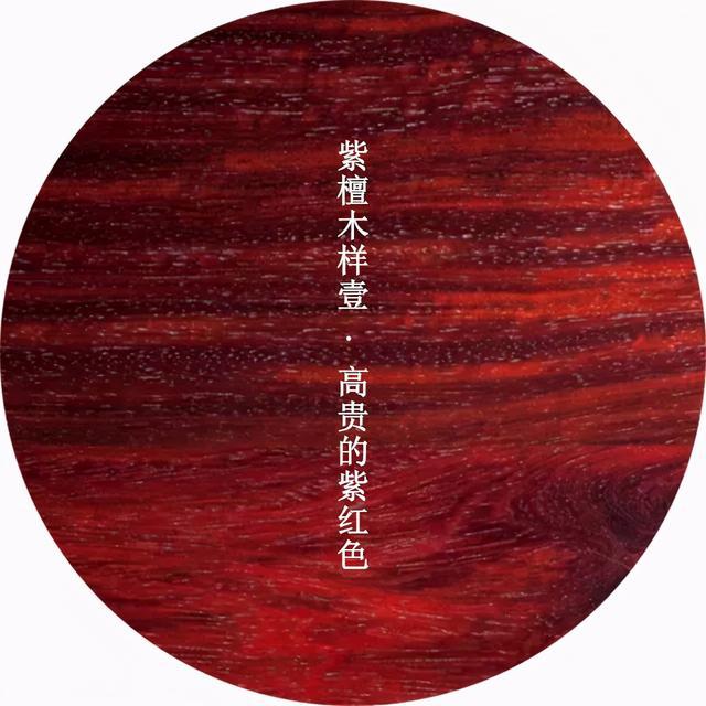 小王话红木|干货分享：中国古典家具用材图鉴！（多图）