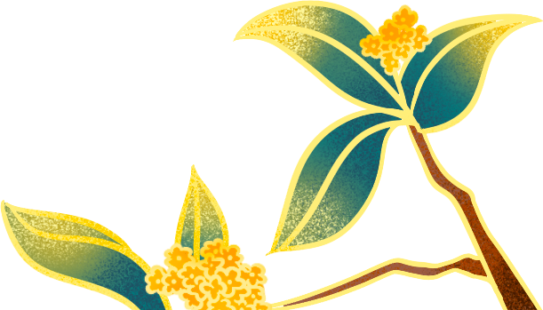 周村阳光调频942 “我还是曾经那个少年”！3000人在周村区体育场集结！