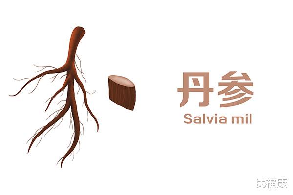 按摩|丹参和三七都能通血管，哪个会更好？能不能长期食用？