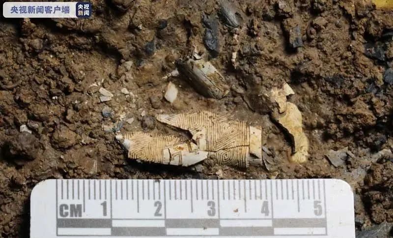 实闻速览 前所未见的神奇文物首次被发现！世界瞩目的三星堆进行时。。。