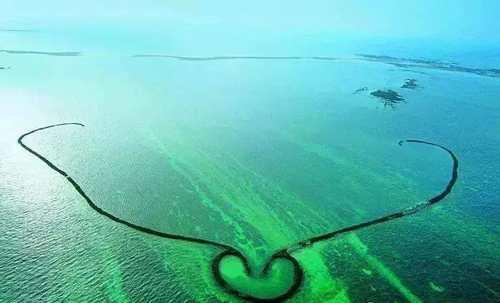 舜网 农村人捕鱼方法千奇百怪，一女子自制的捉鱼工具就特别厉害