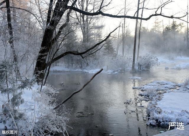 严选|“中国智造”出奇招,2020又一新型高科技问世,AR技术惊艳欧美