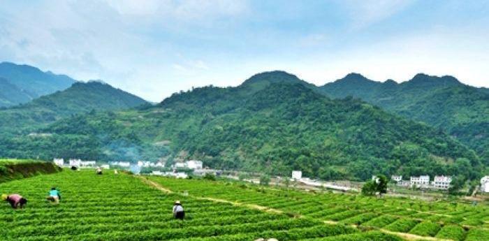 陕西 陕西一“低调”县城,气候宜人美若世外桃源,却鲜有人知