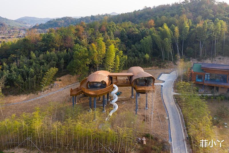 莫干山 江南第一山：莫干山