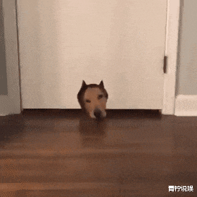  我弟弟竟偷偷去纹身了！现在被我罚站大半天了，大家说我做得对吗？