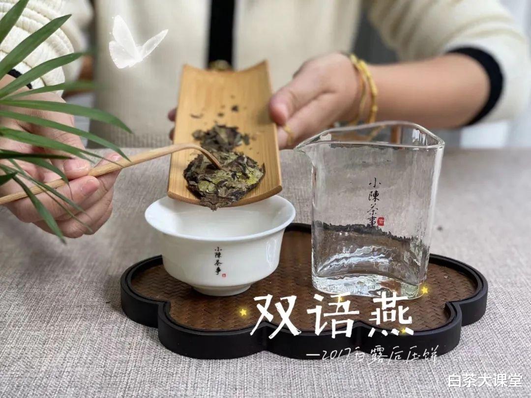 茶具|玻璃杯、白瓷盖碗、紫砂壶，哪个更适合冲泡老白茶？