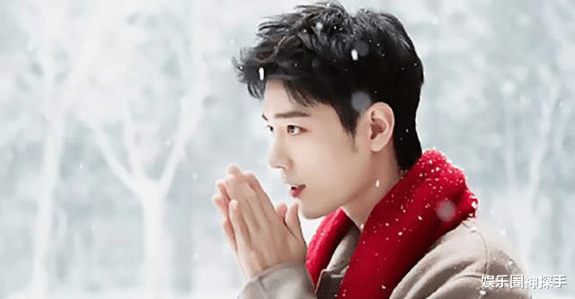 林一|他总演“姐弟恋”,小有名气却不红,国外的人气却比肩一线?