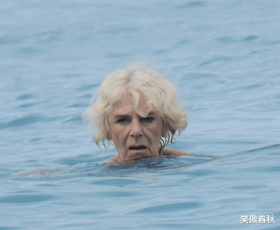 戴安娜|38年前，戴安娜挺肚子和查尔斯戏水，现换成一身赘肉的卡米拉