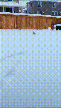 |“马总化腾的女儿又爆出近照，朋友们你们觉得漂亮吗？”