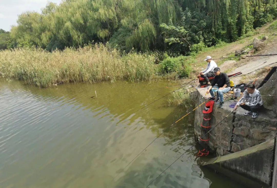饵料|野钓被人打闭口怎么办？老钓手给你支一招，效果立竿见影