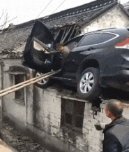 动物庄园|给你五个亿,让你放弃身体一部分,你会放弃哪里?