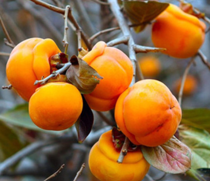 胃病|胃病患者不能吃海带?若想保护肠胃,3物尽量少吃,易损伤胃粘膜