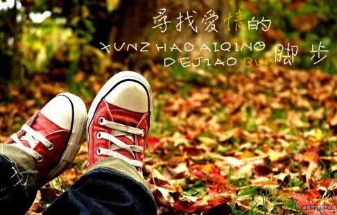 火山 蚊子的爱情