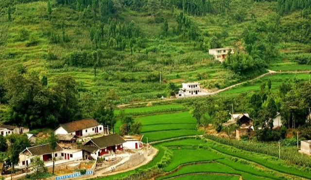 |为什么有人说千万不要回老家盖房子？