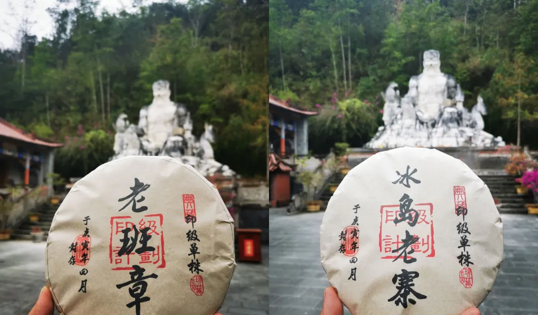 小颂茶话 老茶品鉴   最好喝的普洱老茶,一定绕不过这几款!