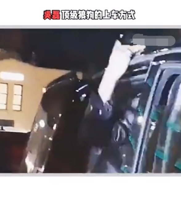 桃之菁|吴磊对空气打拳引发热议，童星长大受认可，新剧再次合作当红小花