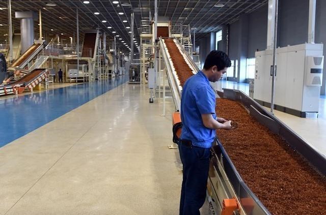 为娃学画丫|名校大学生争先进卷烟厂，流水线上研究生占30%，究竟发生了什么