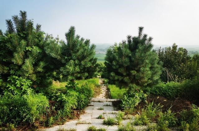 童书小窝|辽宁这个村子藏着一座“开放式寺院”:有狐仙洞和八卦井