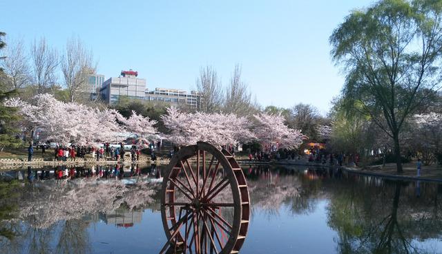 奶爸带娃看世界 北京一“巨无霸”公园，被称海淀“后花园”，植被数量近20万株
