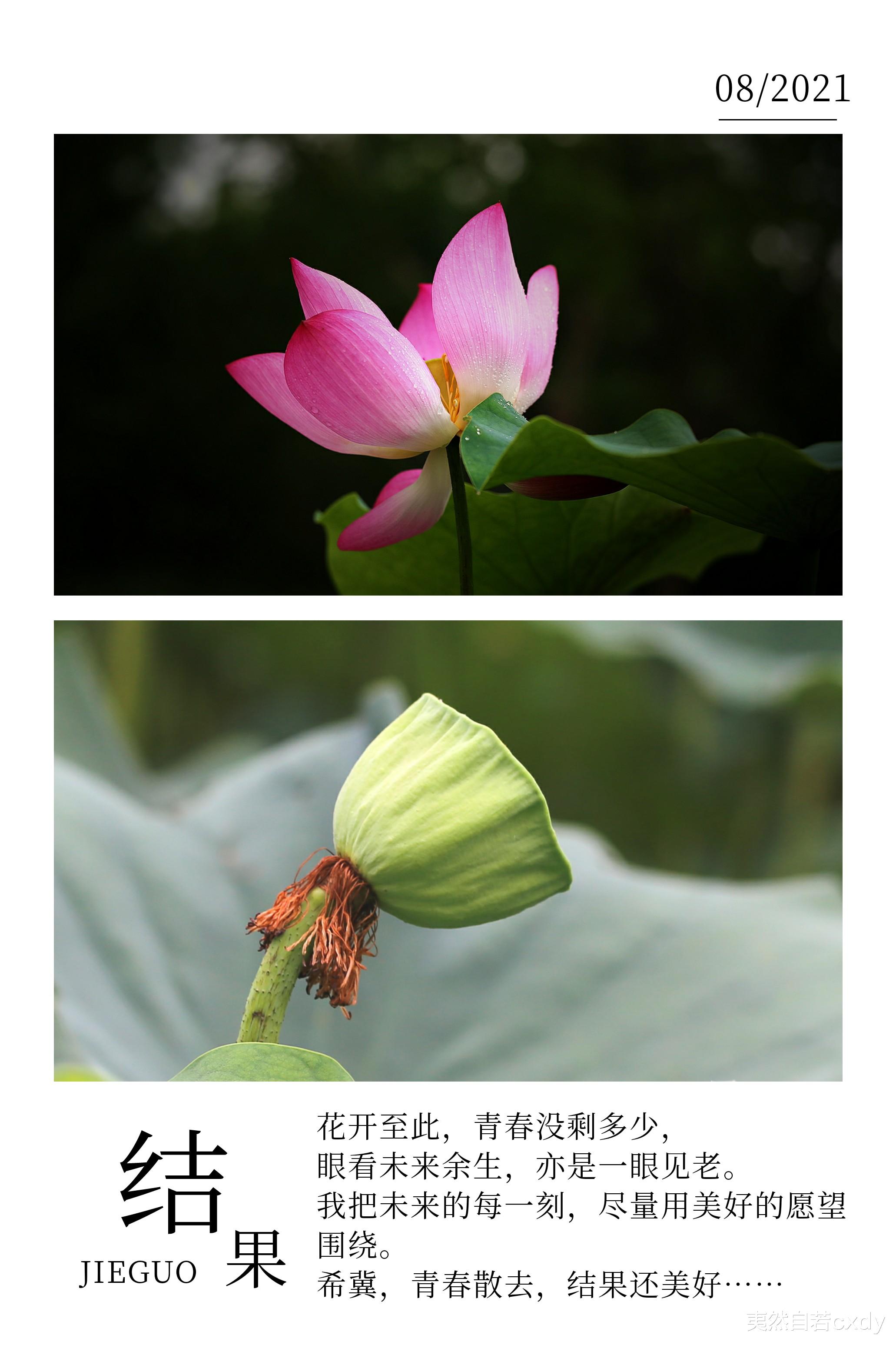 夷然自若cxdy|季节终会凋敝所有颜色，想问：到那时，君可爱我如此刻？