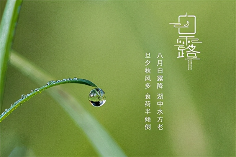 |白露时节,天气转凉,家居保养你家安排好没?