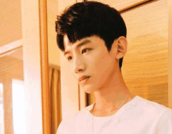 肖战|娱乐圈最具“巴掌脸”的15大男星，肖战垫底，榜首帅到不像样